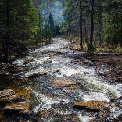 NG体育下载手机版